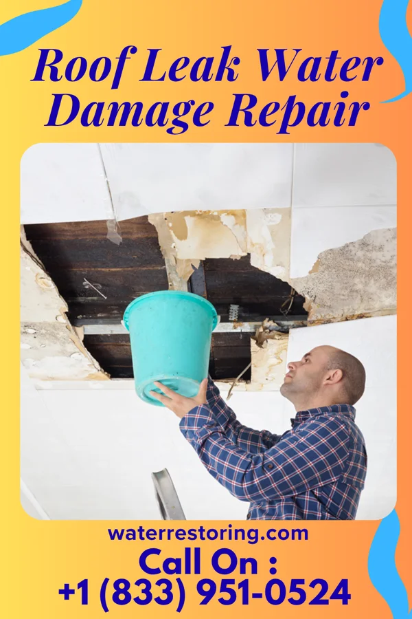 Roof Leak Water Damage Repair in Wade, MS