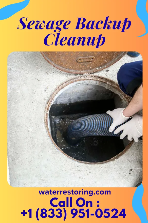 Sewage Backup Cleanup in Wade, MS