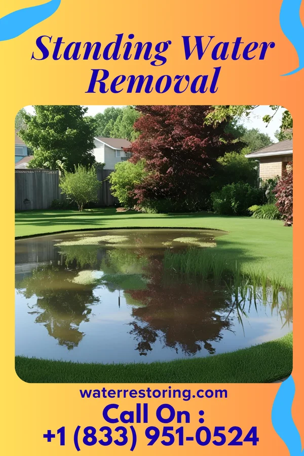 Standing Water Removal in Wade, MS